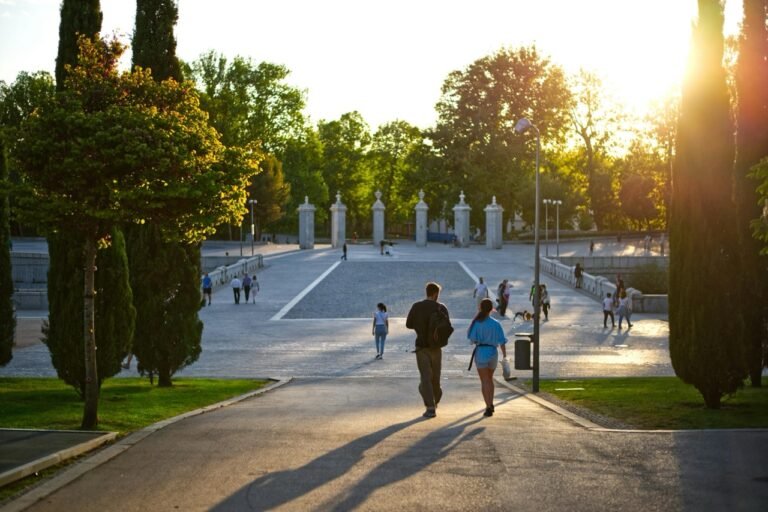 Espacios de datos: La política pública resultante es precisa, barata y transformadora: podar los arbustos y reorientar la luz. Smart Cities Gender Perspective